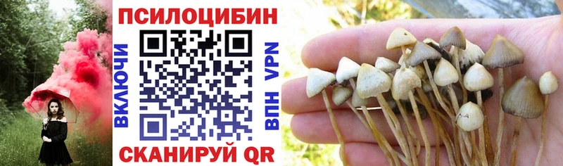 Псилоцибиновые грибы Magic Shrooms Козельск