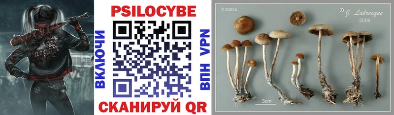 Псилоцибиновые грибы Magic Shrooms Козельск